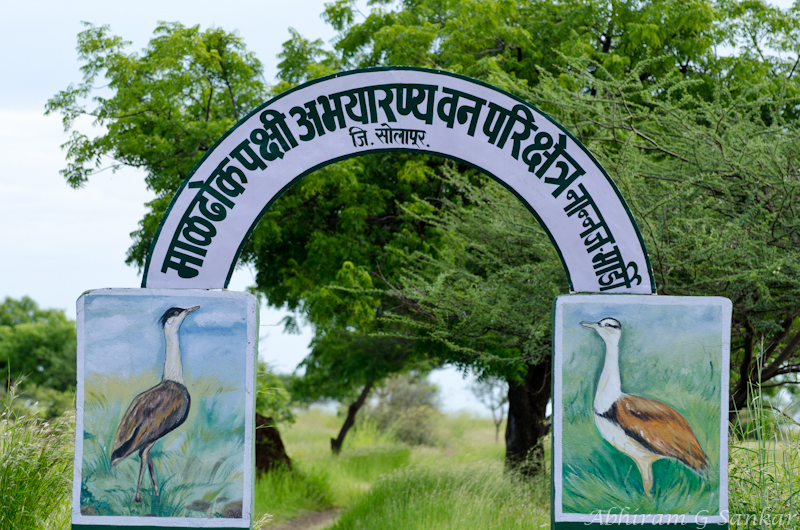 Great Indian Bustard Sanctuary